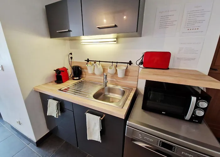Grand Duplex 5 Pers Au Coeur De Opera & Metro ליון